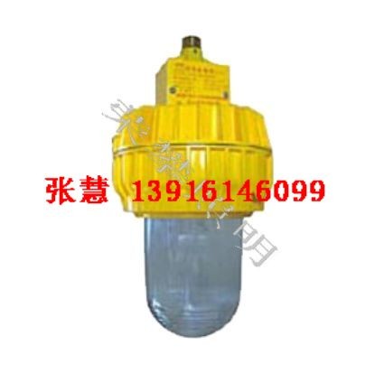 供应生产BFC8140 内场防爆灯 